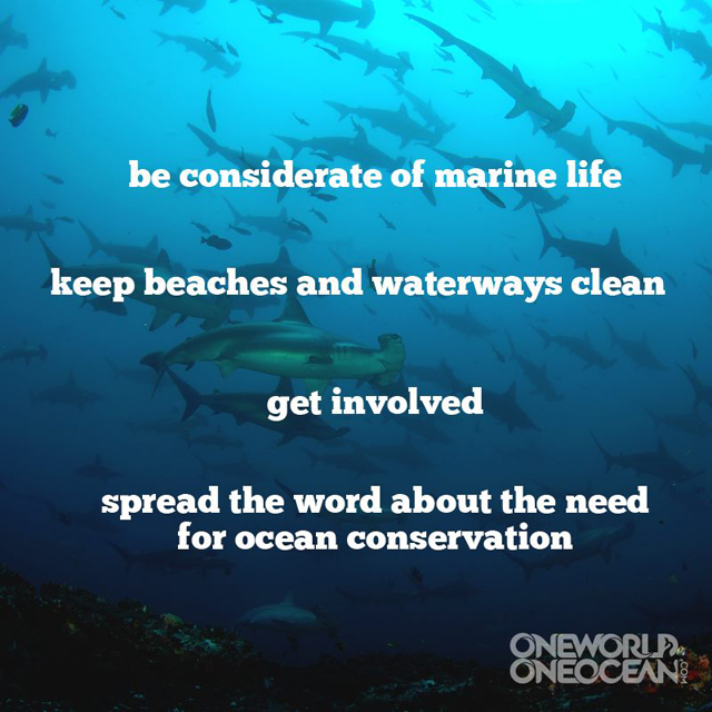 10 Ways to Help Save the Ocean – One World One Ocean