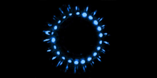 BioL_thumb_220x110.png