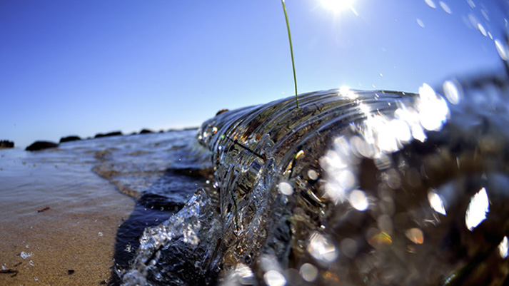 Fisheye_12.29.12_Thumbnail.jpg