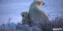 IMG_8234_WM2_220.jpg