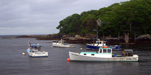LocalFisheries_Thumbnail.jpg