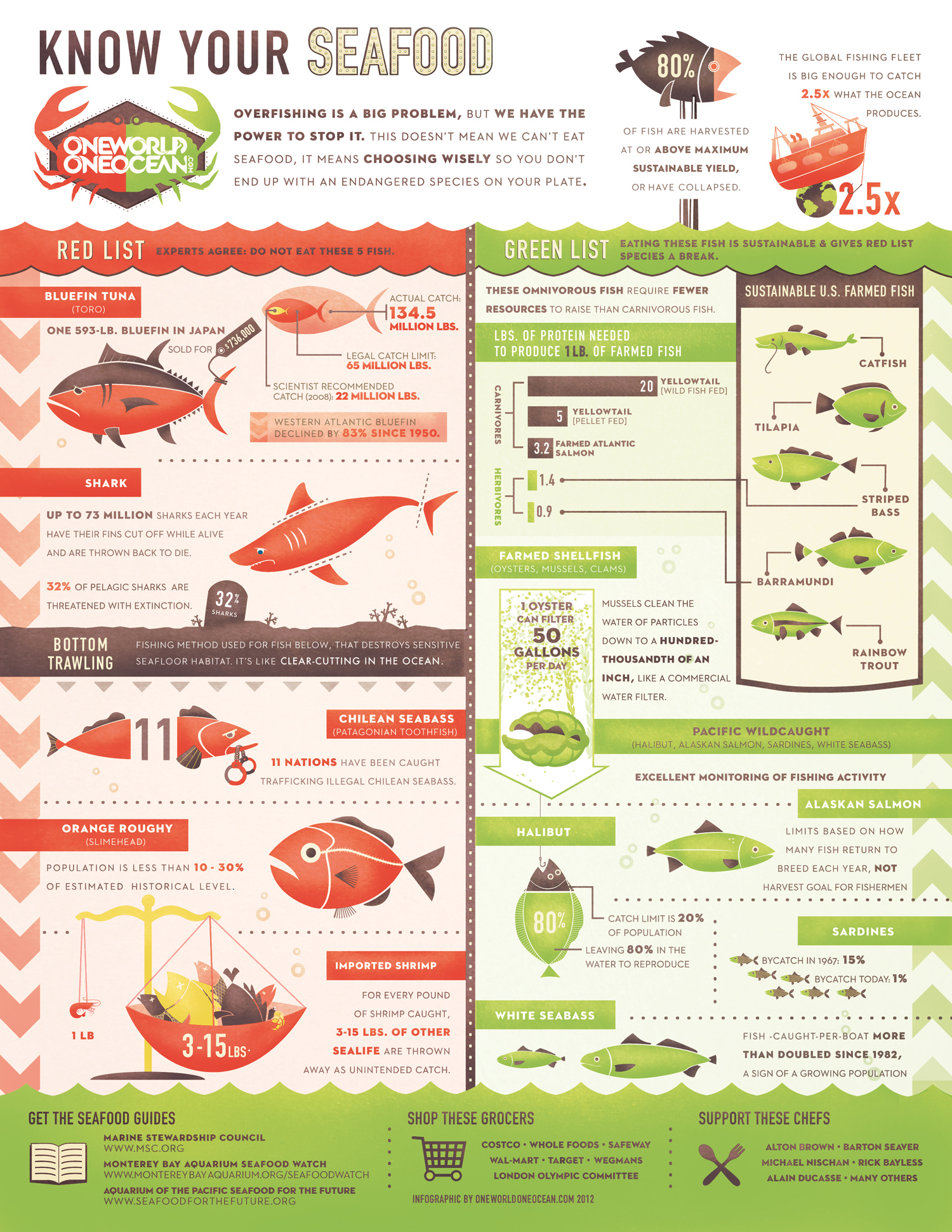 Know Your Seafood Infographic - Click to Enlarge
