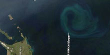 OceanFert_Thumb.jpg