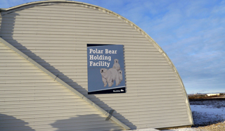 Polar Bear Holding Facility