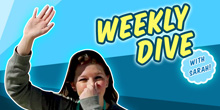 WeeklyDiveVideoEd_SeaBirdPreservation_Thumb.jpg