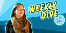 WeeklyDiveVideoEd_TrackingSharksPlasticBan_Thumb.jpg