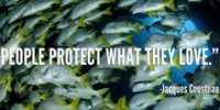 happy-intl-biodiversity-day-th.jpg