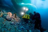 join-owoo-journey-to-cocos-island-th.jpg