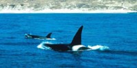 marine-national-parks-closer-look-th.jpg