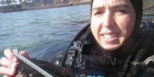 measuring_abalone_220x110.jpg
