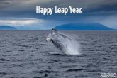 photo-of-the-week-happy-leap-year-th.jpg
