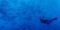 photo-of-the-week-planet-ocean-th.jpg