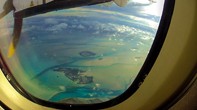 taggins-sharks-in-the-bahamas-th.jpg