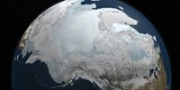 the-school-sea-ice-provides-sea-life-th.jpg